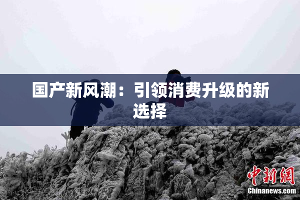 国产新风潮：引领消费升级的新选择