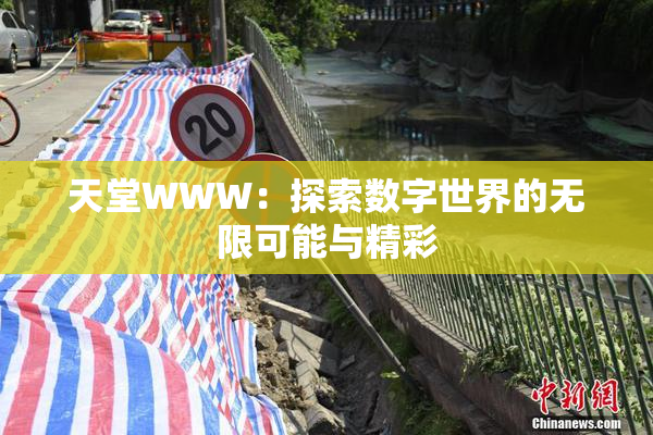 天堂WWW：探索数字世界的无限可能与精彩