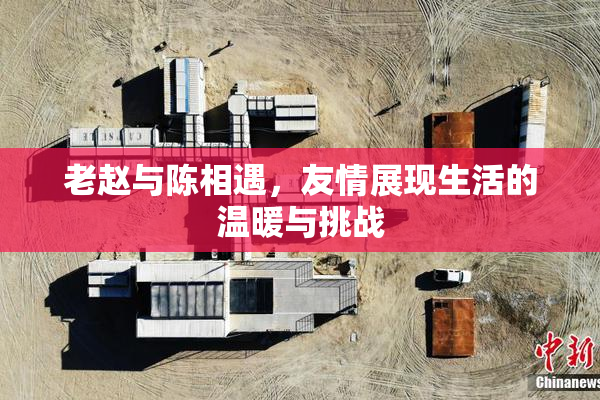 老赵与陈相遇，友情展现生活的温暖与挑战
