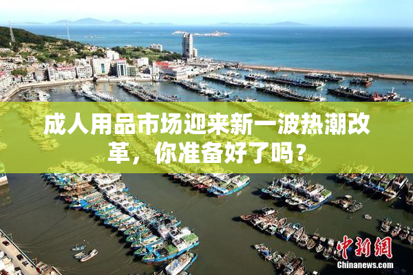 成人用品市场迎来新一波热潮改革，你准备好了吗？