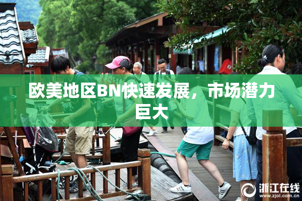 欧美地区BN快速发展，市场潜力巨大