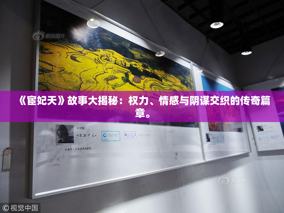 《宦妃天》故事大揭秘：权力、情感与阴谋交织的传奇篇章。