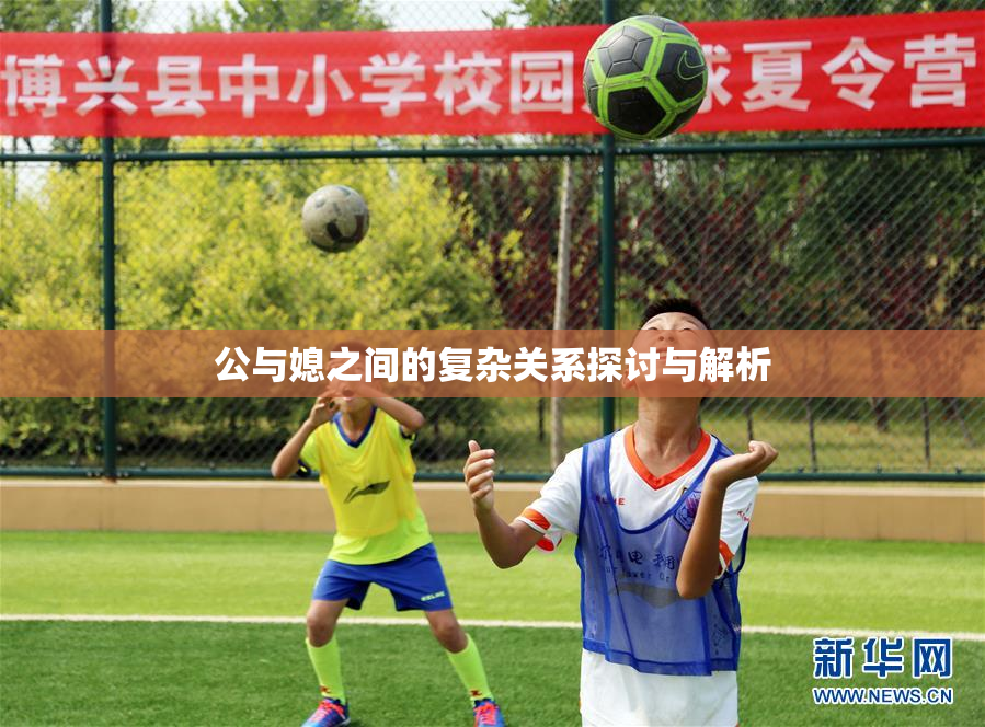 公与媳之间的复杂关系探讨与解析