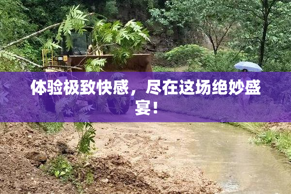 体验极致快感，尽在这场绝妙盛宴！