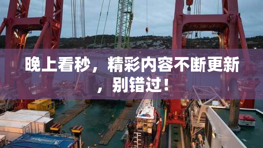 晚上看秒，精彩内容不断更新，别错过！