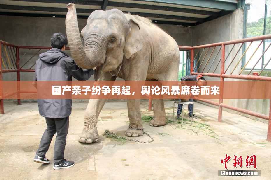 国产亲子纷争再起，舆论风暴席卷而来