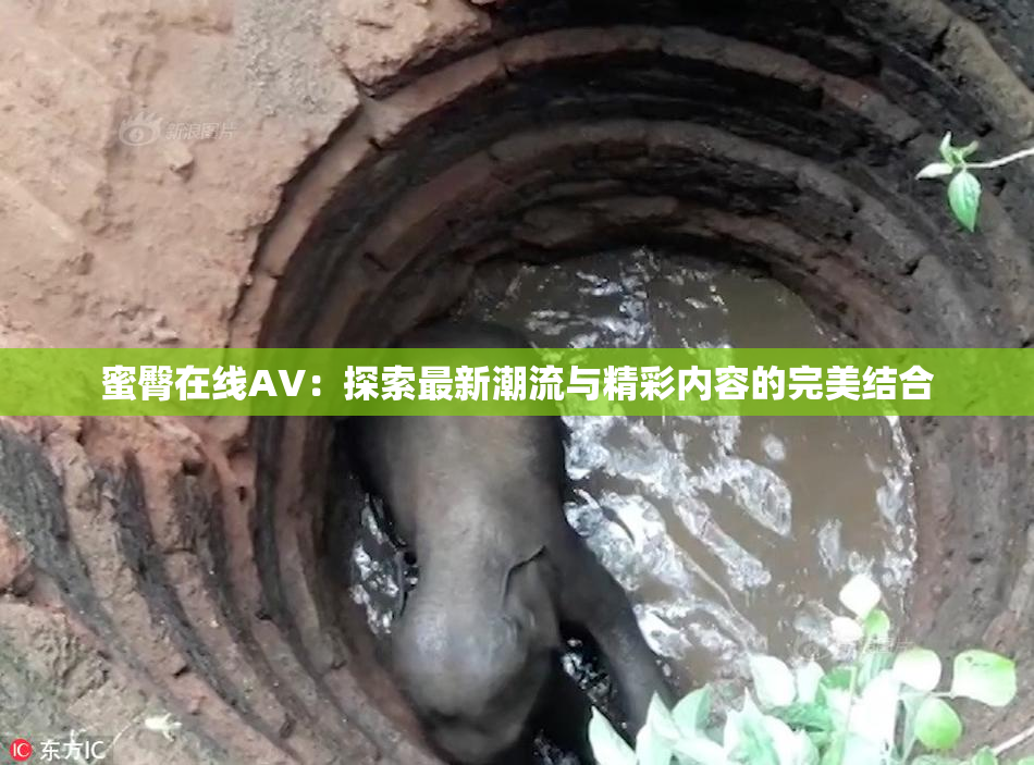 蜜臀在线AV：探索最新潮流与精彩内容的完美结合
