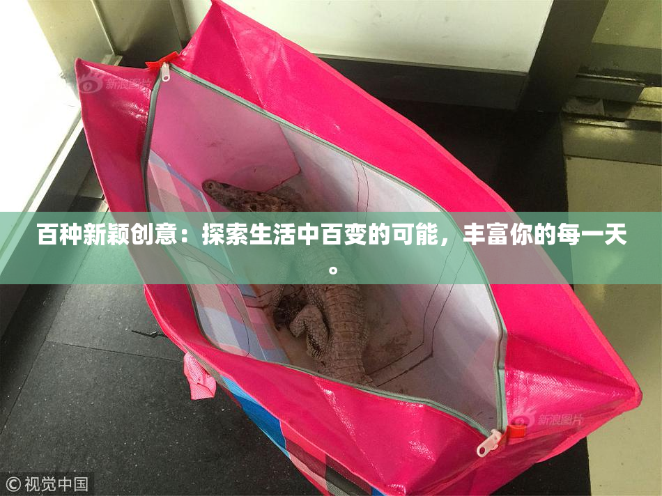 百种新颖创意：探索生活中百变的可能，丰富你的每一天。