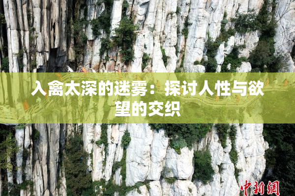 入禽太深的迷雾：探讨人性与欲望的交织
