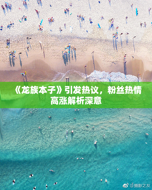 《龙族本子》引发热议，粉丝热情高涨解析深意