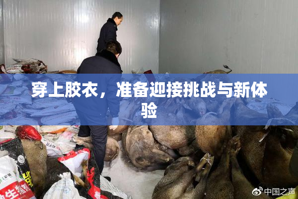 穿上胶衣，准备迎接挑战与新体验