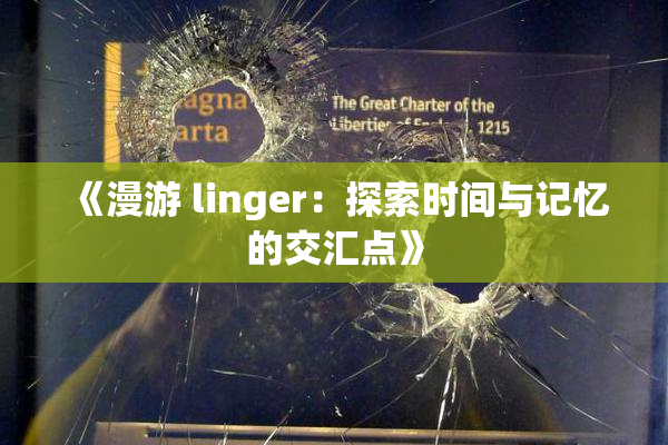《漫游 linger：探索时间与记忆的交汇点》