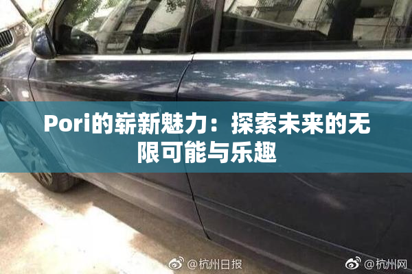 Pori的崭新魅力：探索未来的无限可能与乐趣