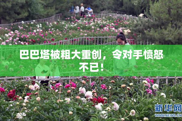 巴巴塔被粗大重创，令对手愤怒不已！