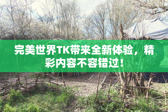 完美世界TK带来全新体验，精彩内容不容错过！
