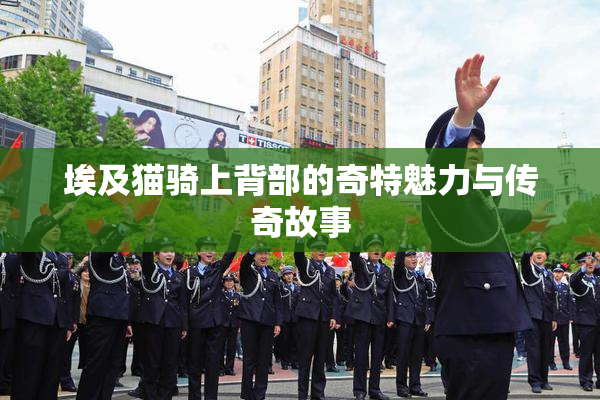 埃及猫骑上背部的奇特魅力与传奇故事