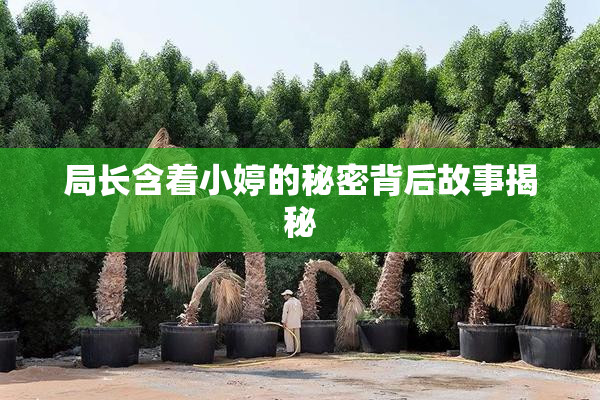 局长含着小婷的秘密背后故事揭秘