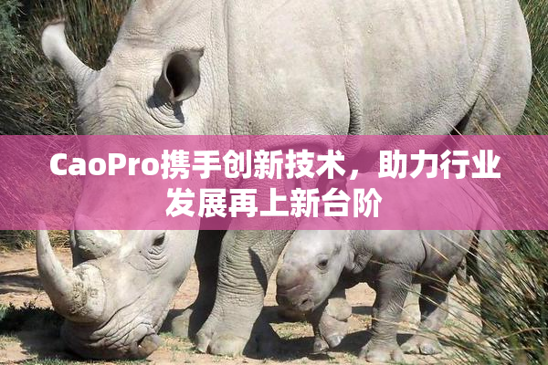 CaoPro携手创新技术，助力行业发展再上新台阶