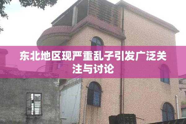 东北地区现严重乱子引发广泛关注与讨论