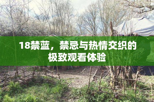 18禁蓝，禁忌与热情交织的极致观看体验