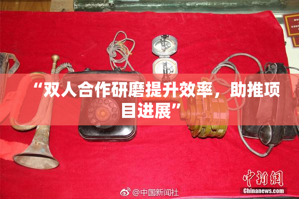 “双人合作研磨提升效率，助推项目进展”