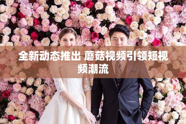 全新动态推出 蘑菇视频引领短视频潮流
