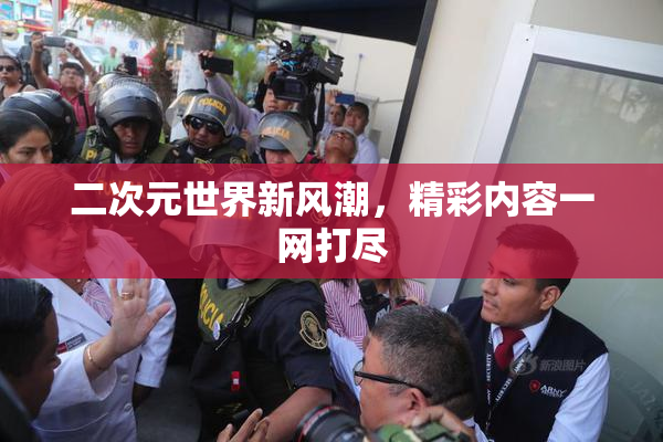 二次元世界新风潮，精彩内容一网打尽