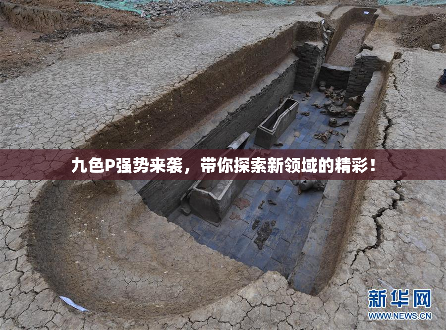 九色P强势来袭，带你探索新领域的精彩！