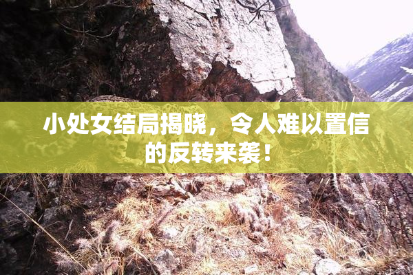小处女结局揭晓，令人难以置信的反转来袭！