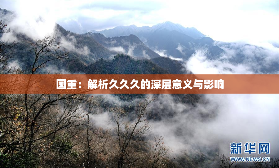 国重：解析久久久的深层意义与影响
