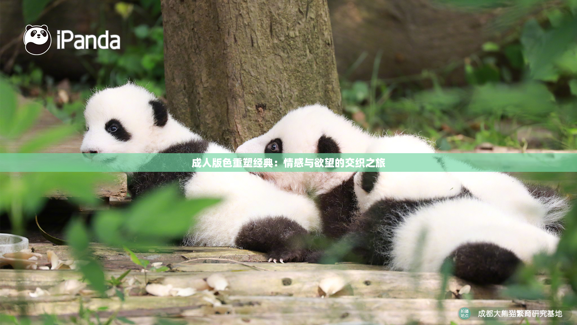 成人版色重塑经典：情感与欲望的交织之旅