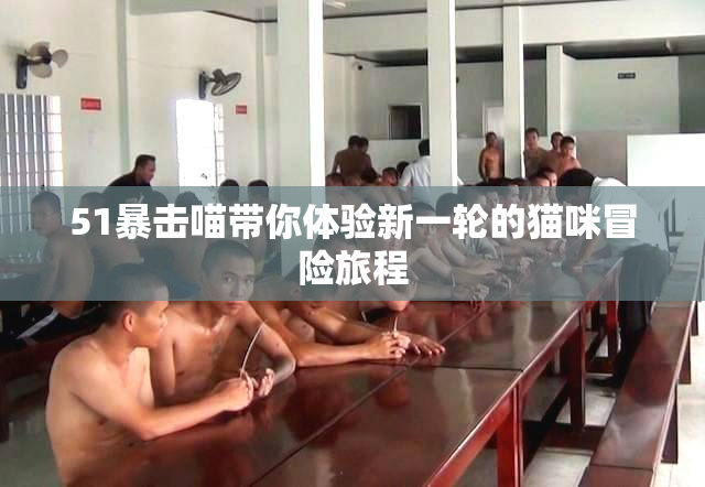 51暴击喵带你体验新一轮的猫咪冒险旅程