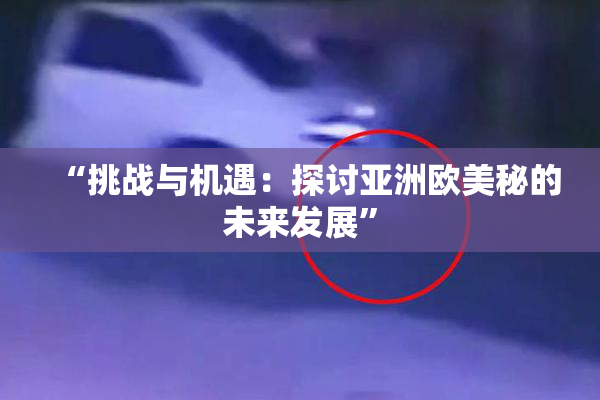 “挑战与机遇：探讨亚洲欧美秘的未来发展”