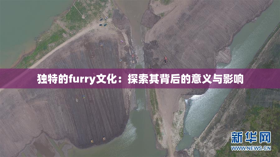 独特的furry文化：探索其背后的意义与影响