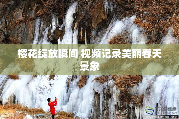 樱花绽放瞬间 视频记录美丽春天景象