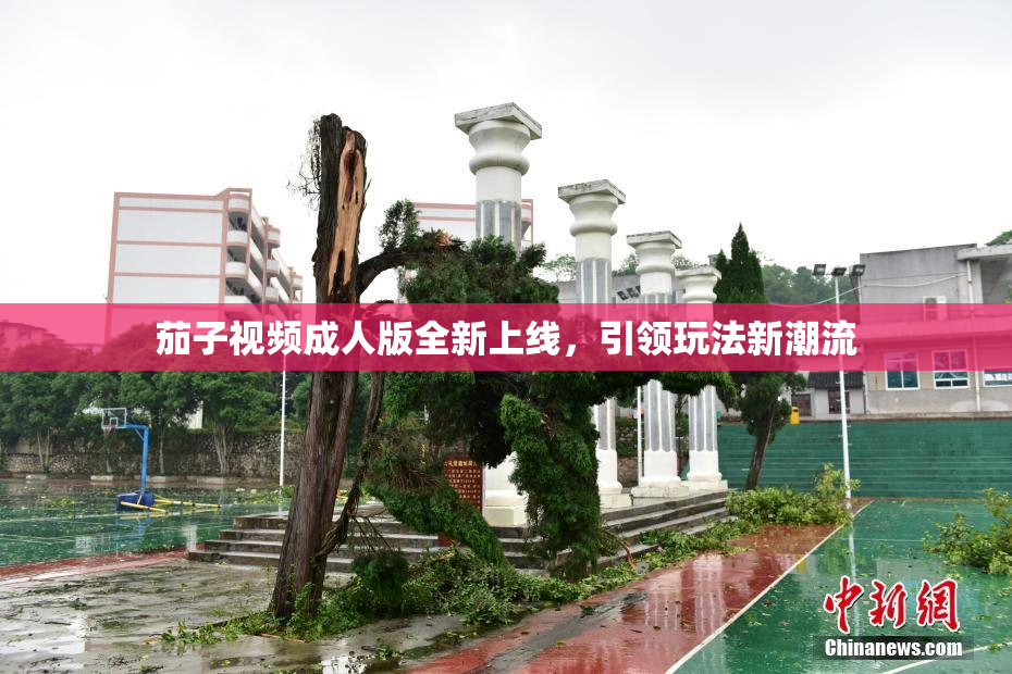茄子视频成人版全新上线，引领玩法新潮流