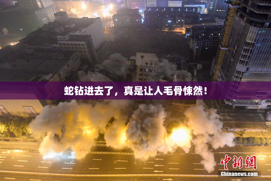 蛇钻进去了，真是让人毛骨悚然！