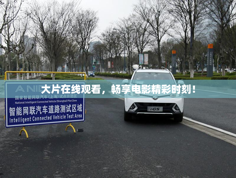 大片在线观看，畅享电影精彩时刻！