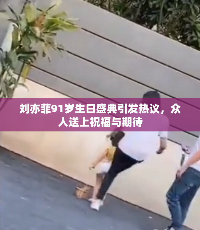 刘亦菲91岁生日盛典引发热议，众人送上祝福与期待