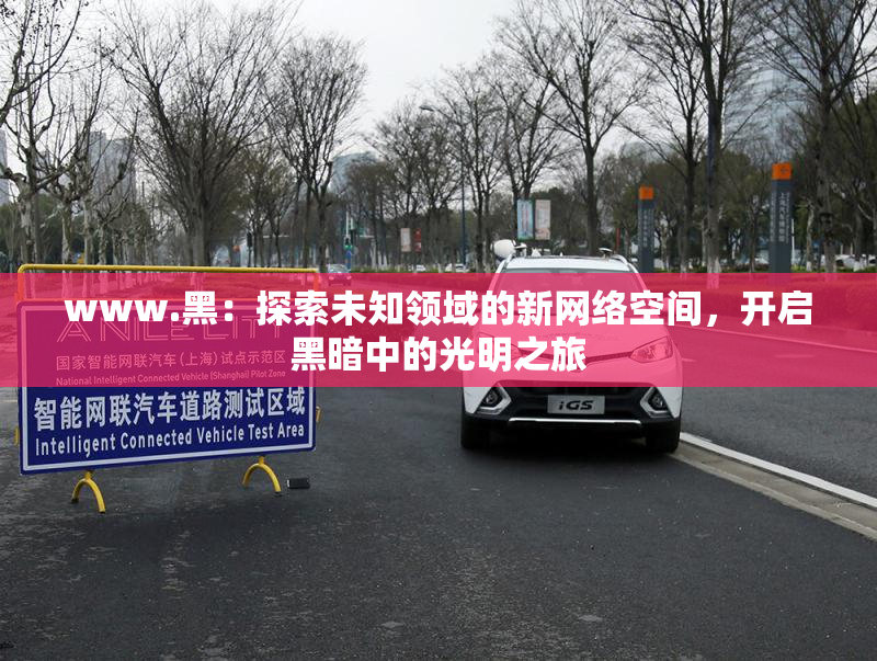 www.黑：探索未知领域的新网络空间，开启黑暗中的光明之旅