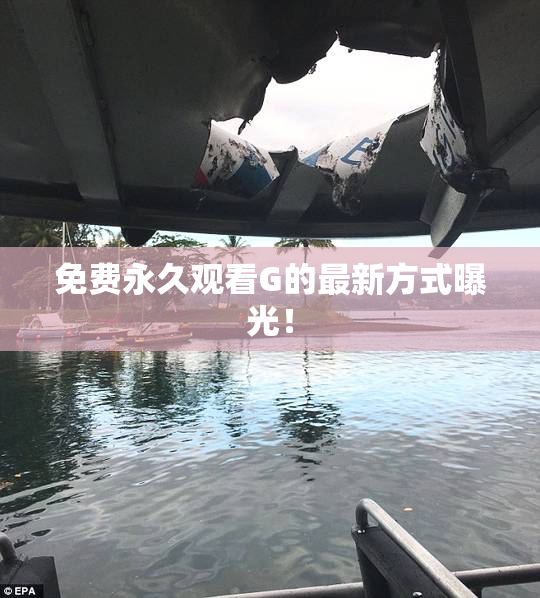 免费永久观看G的最新方式曝光！