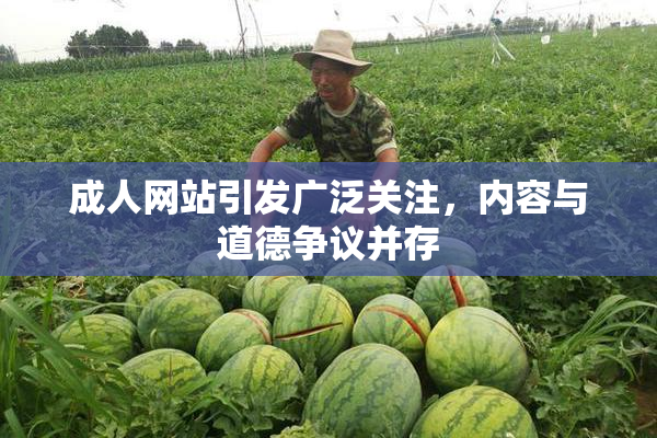 成人网站引发广泛关注，内容与道德争议并存