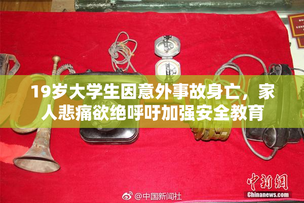 19岁大学生因意外事故身亡，家人悲痛欲绝呼吁加强安全教育