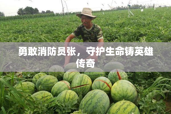 勇敢消防员张，守护生命铸英雄传奇
