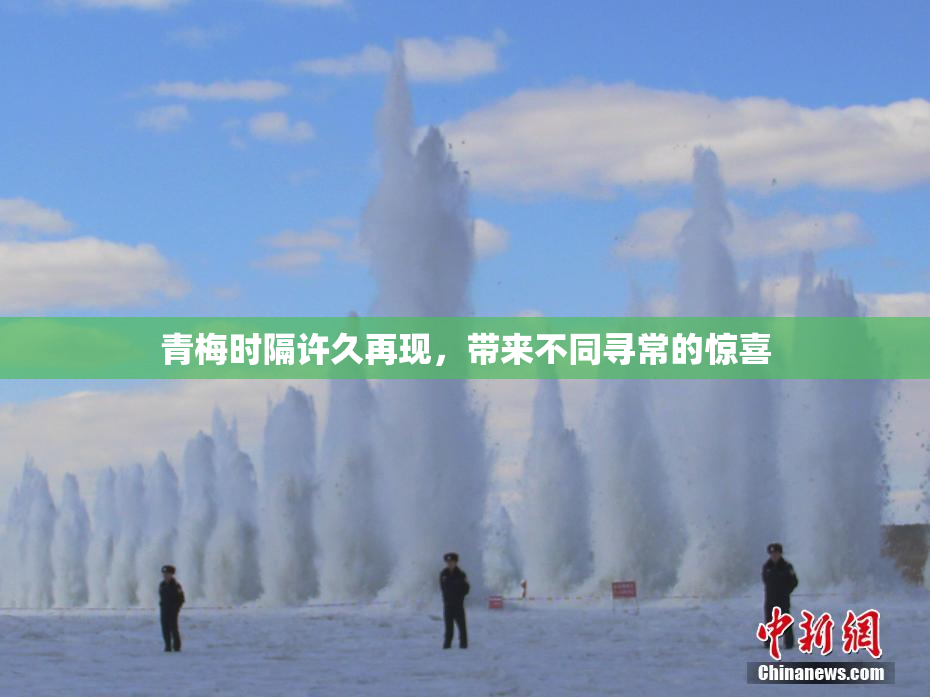 青梅时隔许久再现，带来不同寻常的惊喜