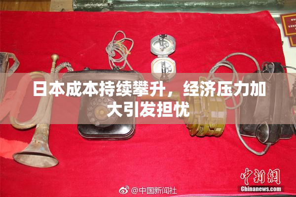 日本成本持续攀升，经济压力加大引发担忧