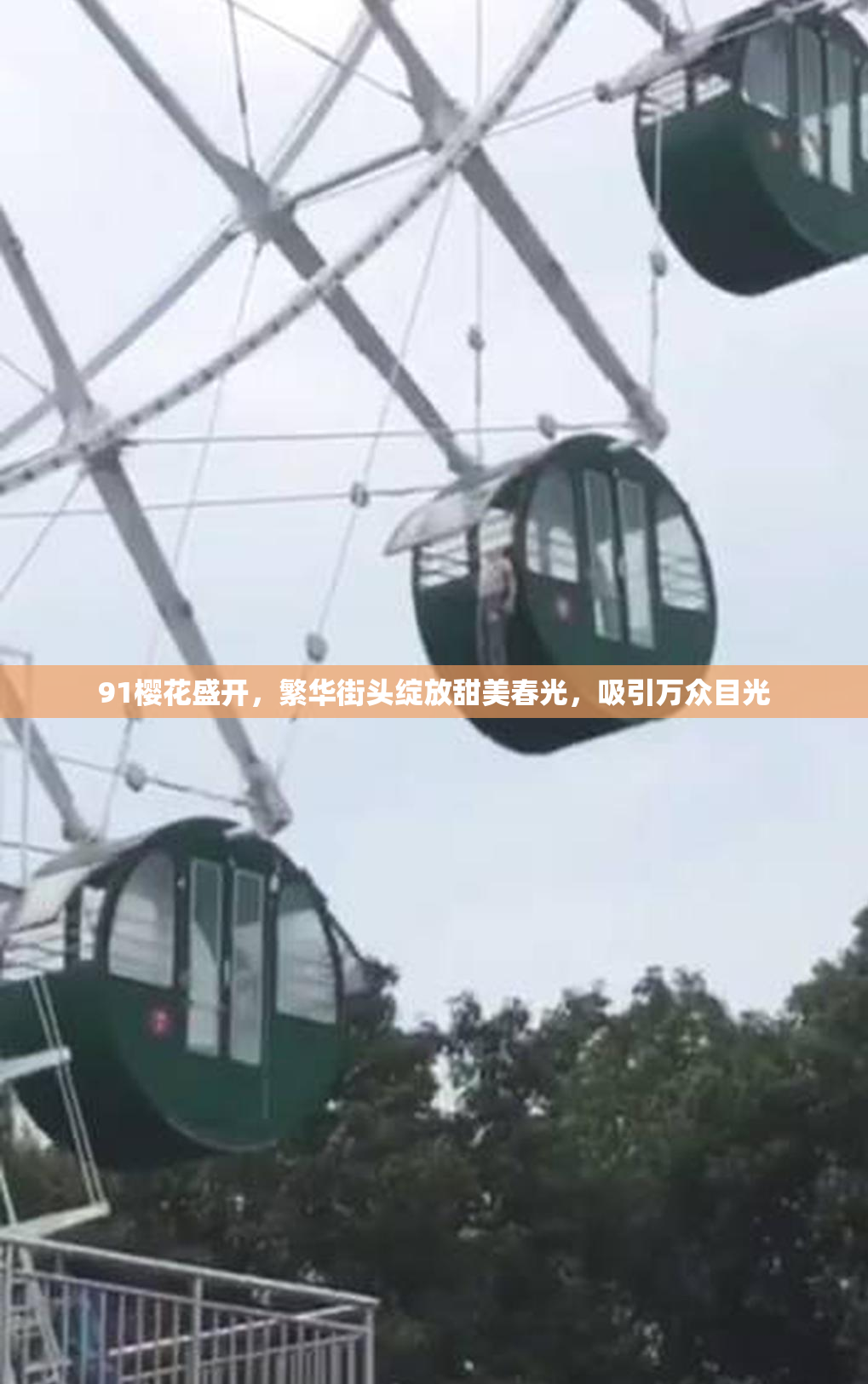 91樱花盛开，繁华街头绽放甜美春光，吸引万众目光