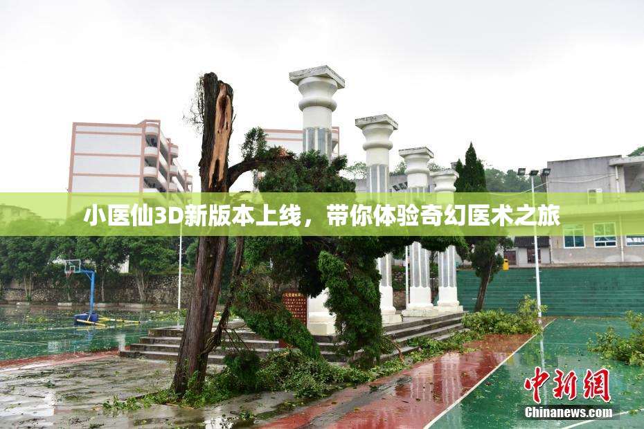 小医仙3D新版本上线，带你体验奇幻医术之旅