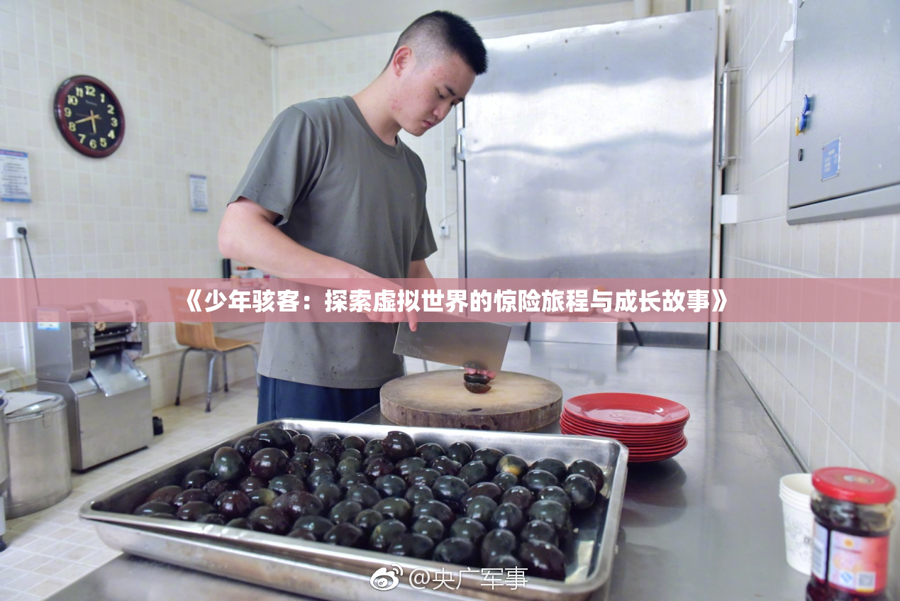 《少年骇客：探索虚拟世界的惊险旅程与成长故事》
