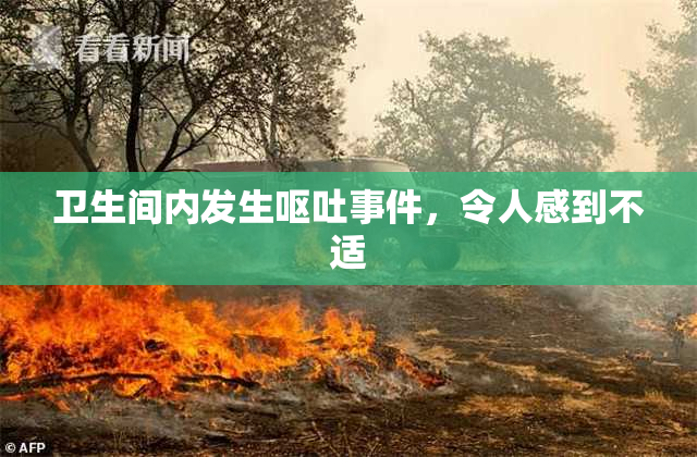 卫生间内发生呕吐事件，令人感到不适
